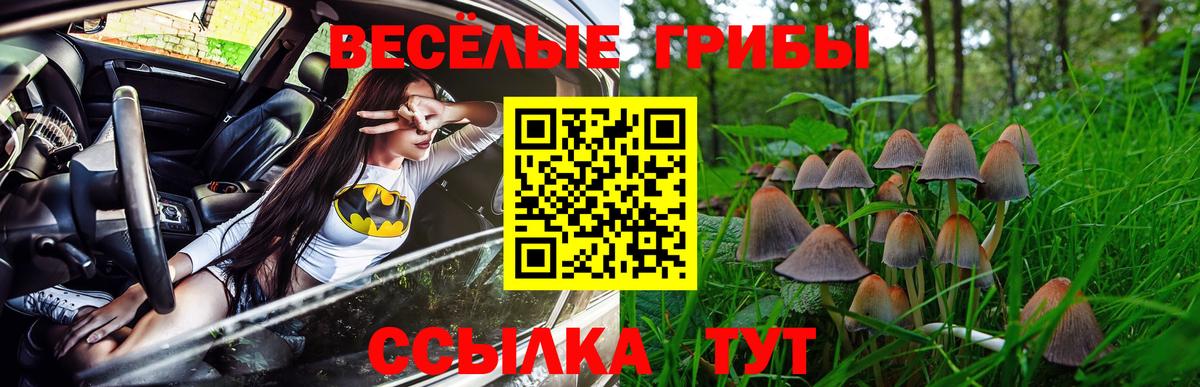 Янаул  Псилоцибиновые грибы Magic Shrooms  Вход с VPN 